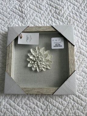 Nature  “Shadow Box “Ceramic Succulent Wall Art - White